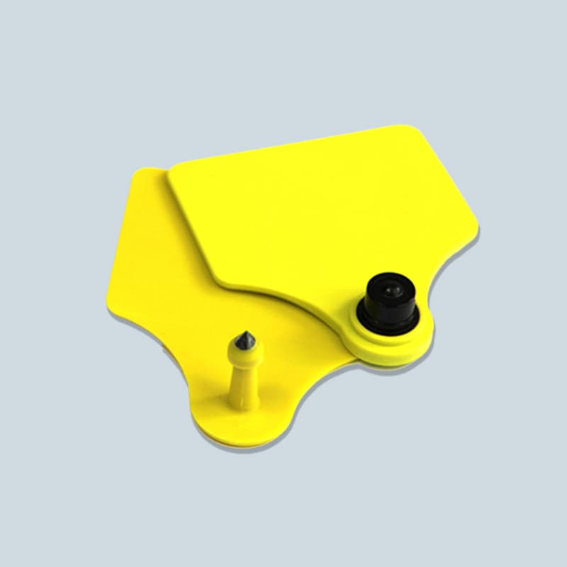 Visual animal ear tag, model ETS-RT 05